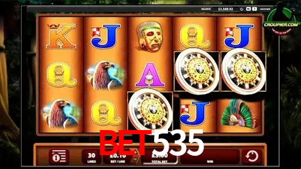 A Experiência Imersiva dos Cassinos Ao Vivo no bet535